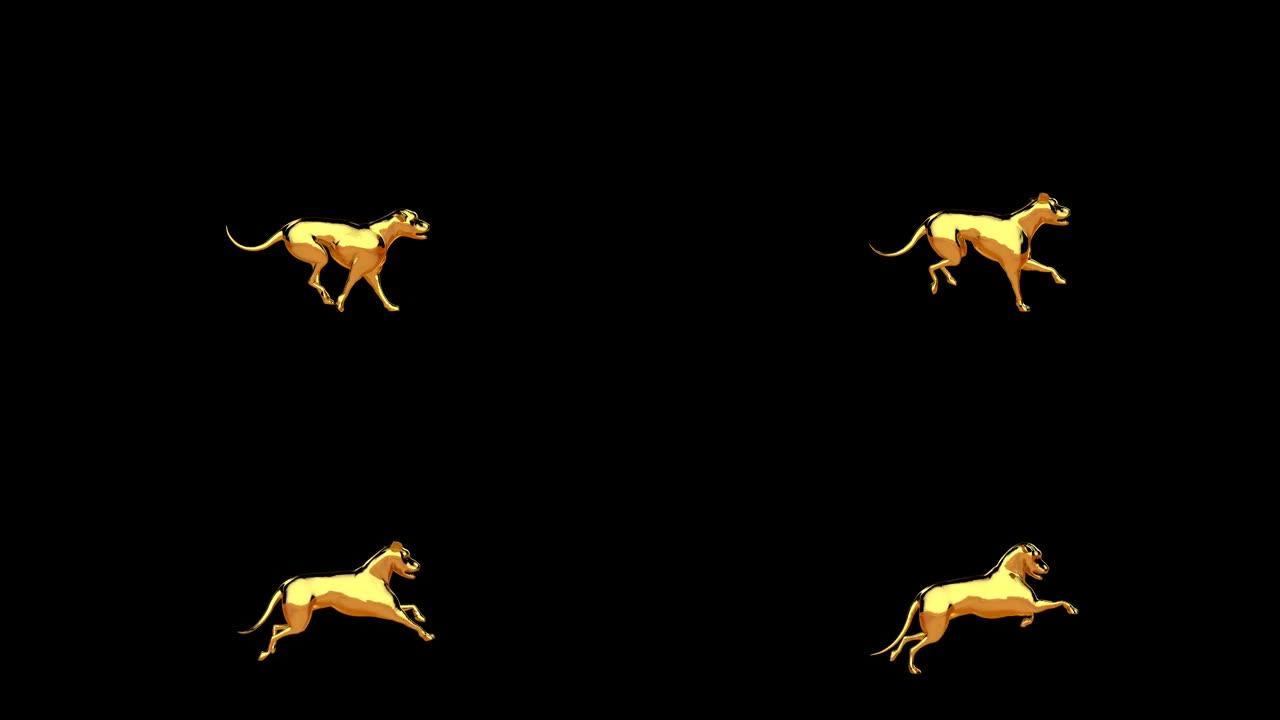 金毛猎犬奔跑，无缝循环，对抗黑色