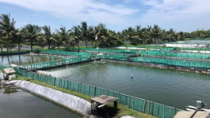 海洋附近用曝气泵充氧水养殖对虾。