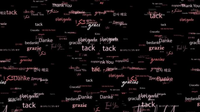 动画循环的谢谢在不同种类的语言单词相关的红色粉红色单词流动。介绍元素，黑色背景上的标题横幅