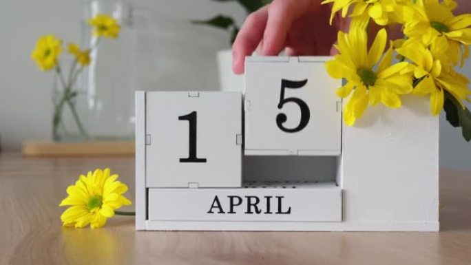 春季月份4月15日。女人的手翻过一个立方历法。黄色花朵旁边的桌子上的白色万年历。在一个月内更改日期。