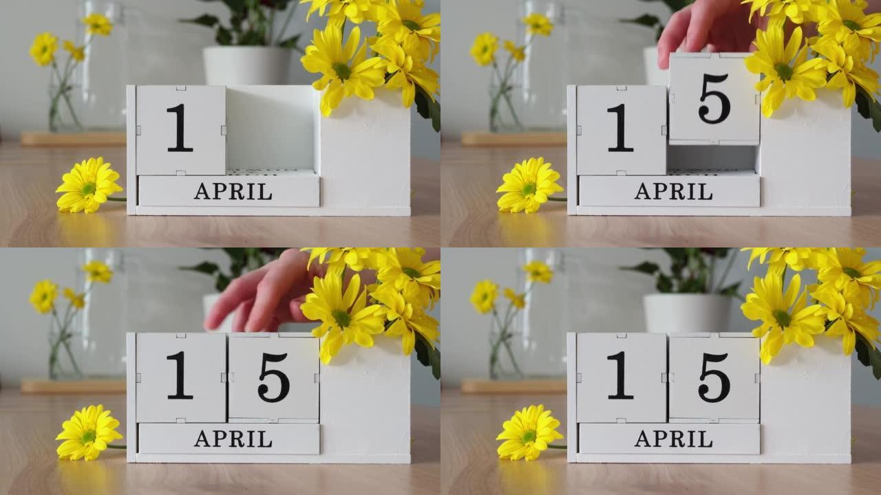 春季月份4月15日。女人的手翻过一个立方历法。黄色花朵旁边的桌子上的白色万年历。在一个月内更改日期。
