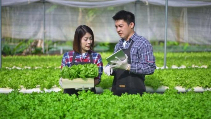 亚洲夫妇农民通过使用数字平板电脑在农业农场和水果产品的小型企业中收集数据，在温室中生长的水培农场上检