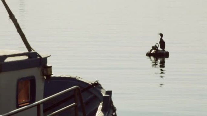 利古里亚港口有船只和猎鸟