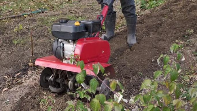 人在菜园里工作，有一个花园耕种机。花园耕作机工作，特写。一个男人用拖拉机在农场里耕种