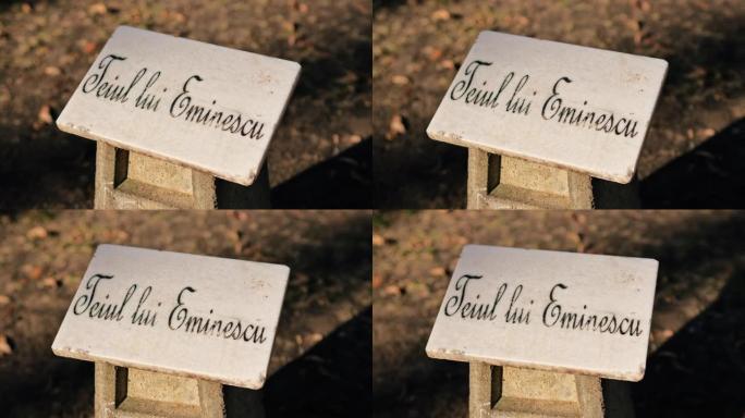 罗马尼亚雅西科普公园的Eminescu菩提树石标志
