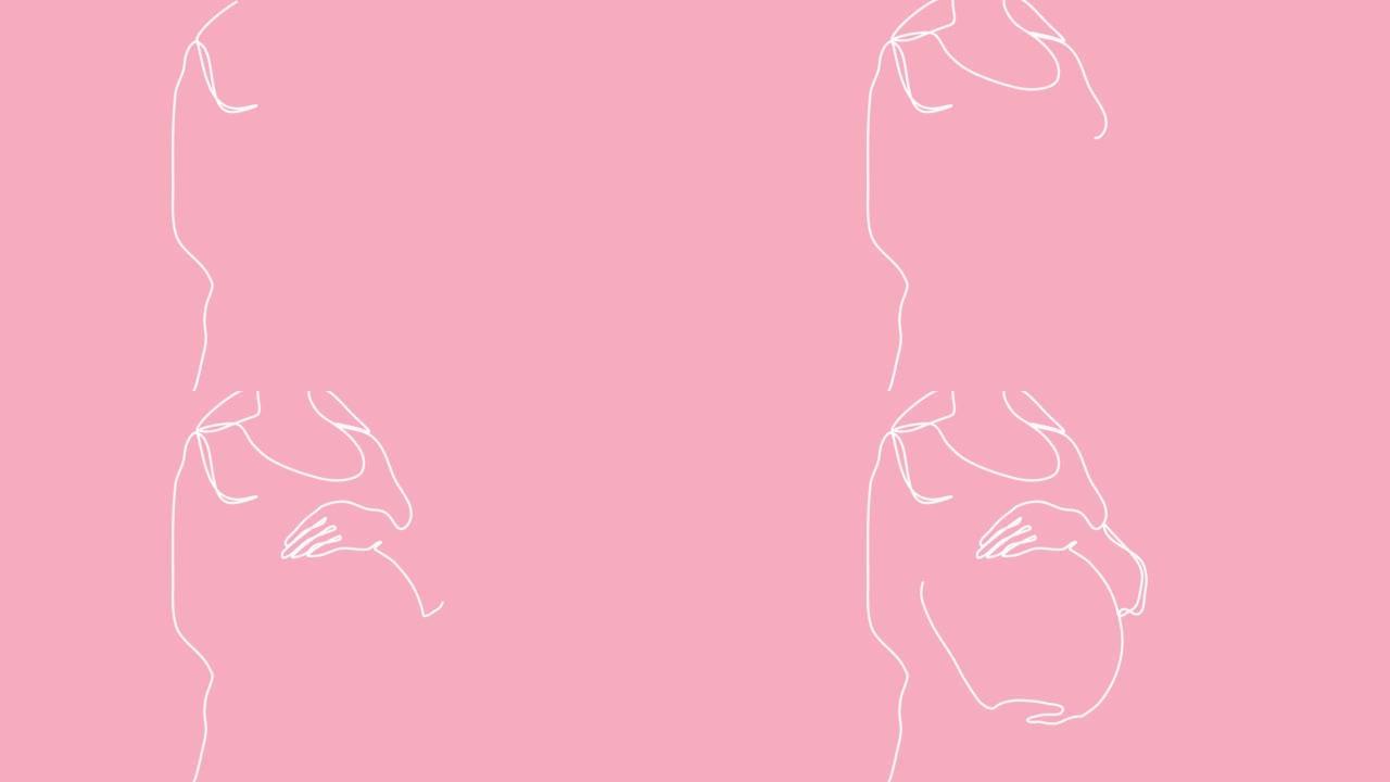 连续白色单线绘制孕妇大肚子在粉红色背景上。自画动画怀孕。手绘剪影图片，设计简单。2D、4k素材。线艺