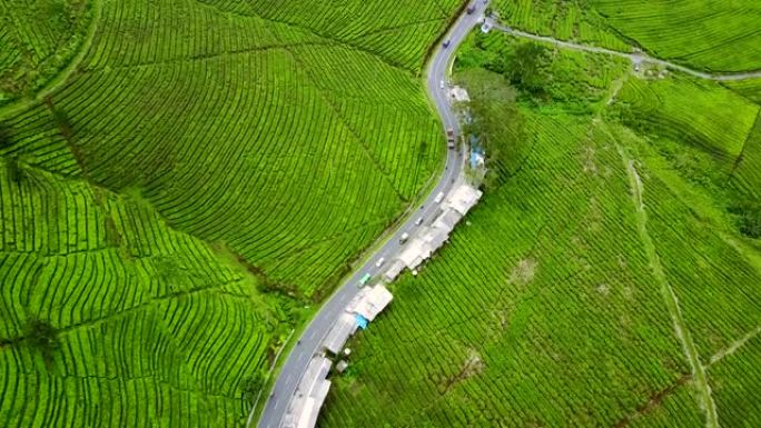 印度尼西亚西爪哇省苏邦高地鲜茶种植园弯曲公路鸟瞰图的视频片段