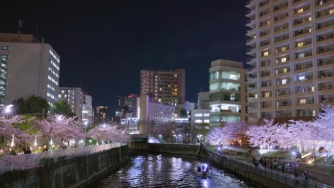 东京目黑河上夜晚盛开的樱花