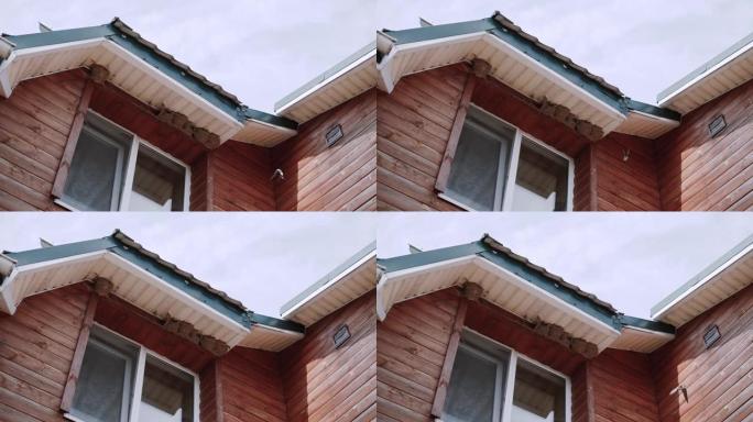 房子屋顶下的鸟巢。燕子飞到鸟屋。