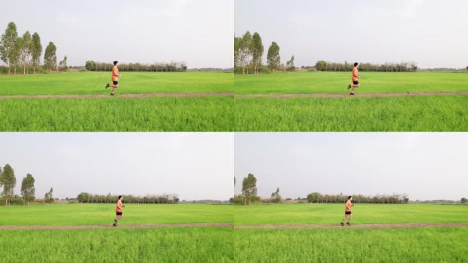 侧面和高角度视角: 亚洲中年男子沿着美丽的绿色稻田积极慢跑，在乡村场景中积极生活方式