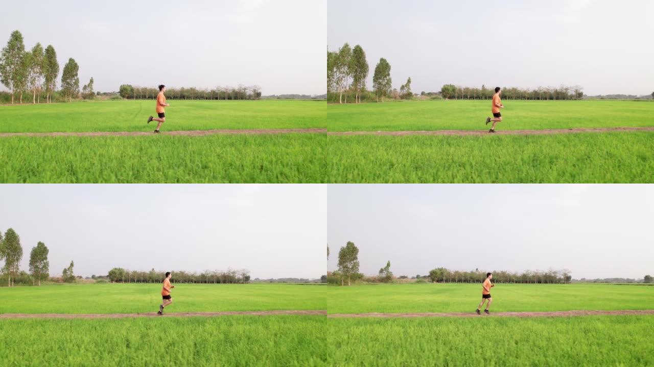 侧面和高角度视角: 亚洲中年男子沿着美丽的绿色稻田积极慢跑，在乡村场景中积极生活方式