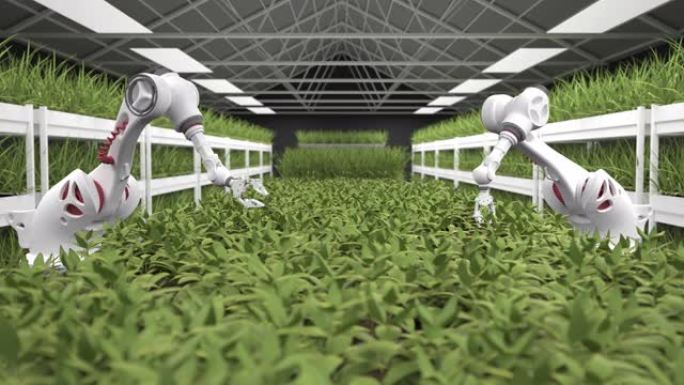 现代有机农舍与机械臂-3d渲染。种植未来的蔬菜。
