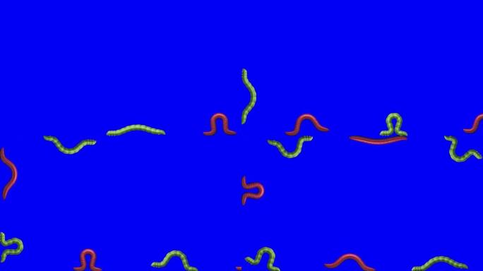 蓝色的毛虫和蠕虫，3D动画