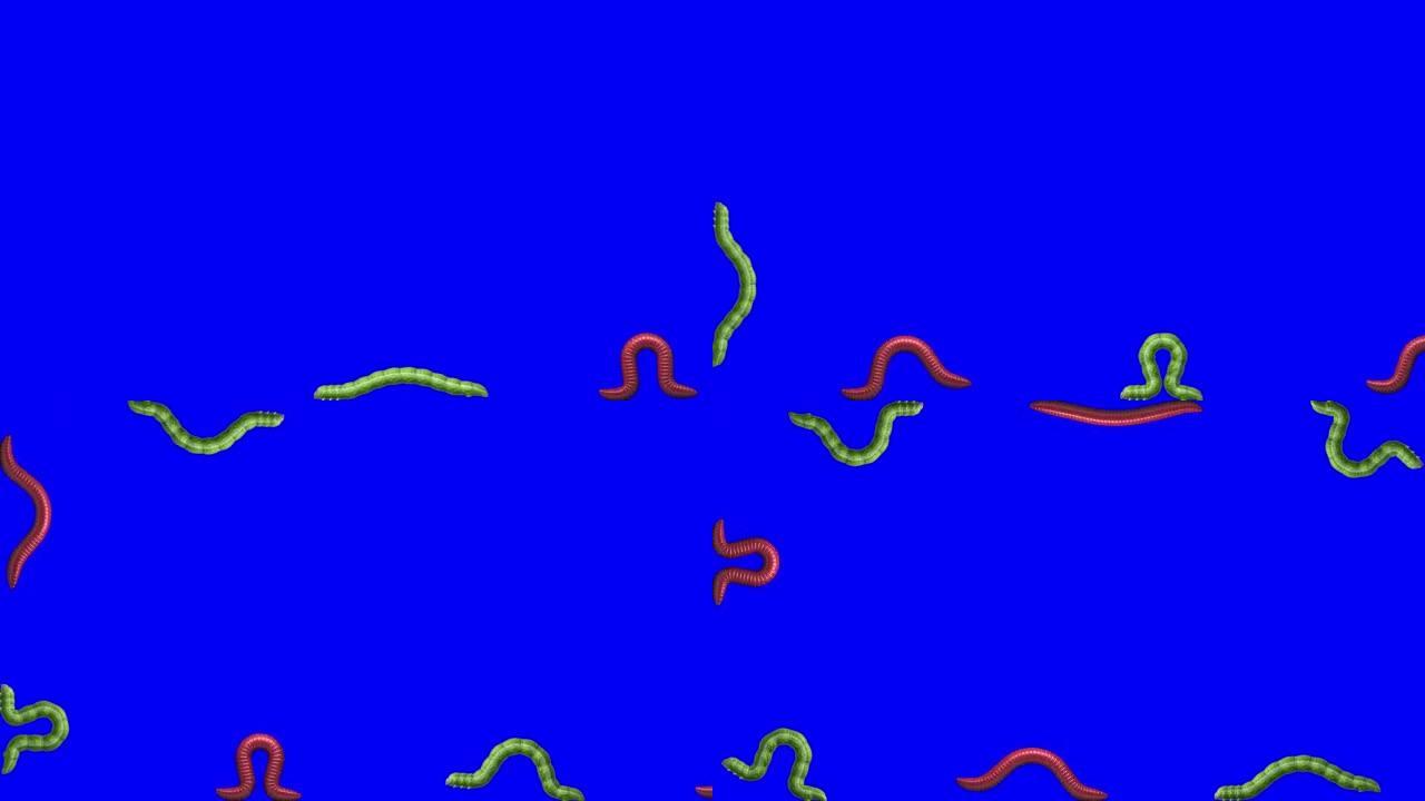 蓝色的毛虫和蠕虫，3D动画