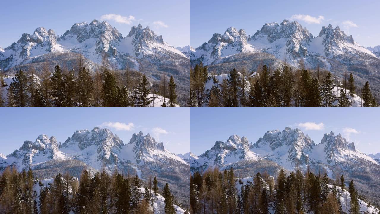 空中冬季山脉雪林雪景阿尔卑斯