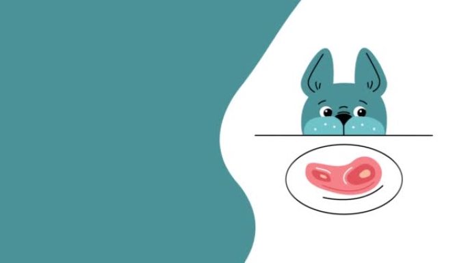 4k视频卡通狗在盘子上看，牛排在白色背景上。