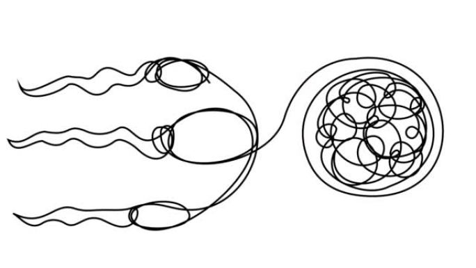 用一条线自拔精子和卵子。