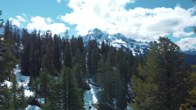 风景秀丽的山峰冬季森林空中无人机飞行在冰冻的寒冷温度和白雪皑皑的树木顶部在阿尔卑斯山的阿尔卑斯山靠近