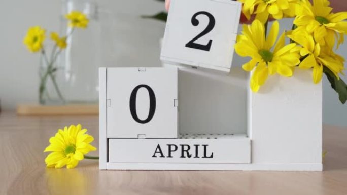 春季月份4月2日。女人的手翻过一个立方历法。黄色花朵旁边的桌子上的白色万年历。在一个月内更改日期。一