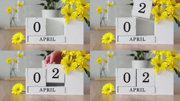 春季月份4月2日。女人的手翻过一个立方历法。黄色花朵旁边的桌子上的白色万年历。在一个月内更改日期。一