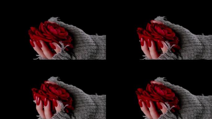穿着黑色背景红玫瑰毛衣的女人。从黑色背景上的红玫瑰上方