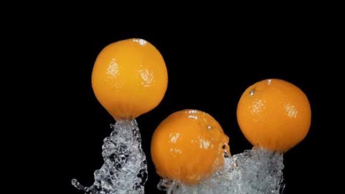 成熟多汁的橘子从水里蹦蹦跳跳