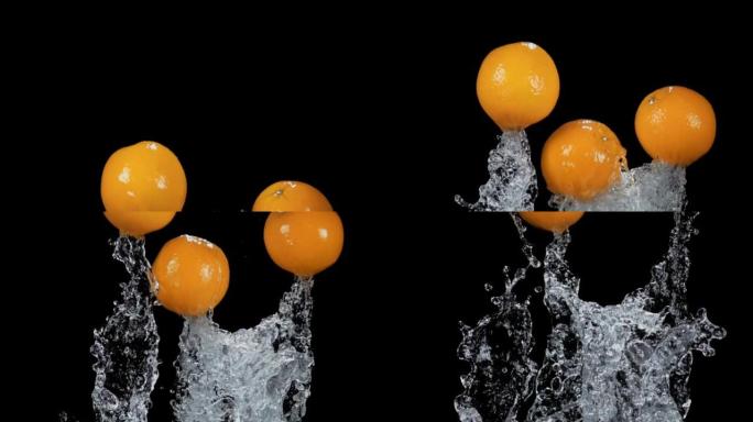 成熟多汁的橘子从水里蹦蹦跳跳