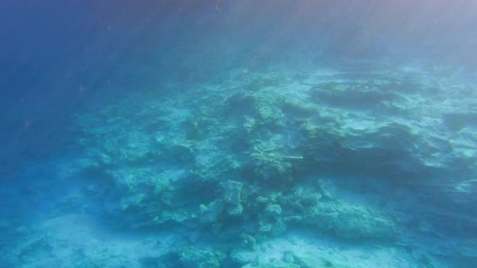 没有植物和生命迹象的空海水下视图