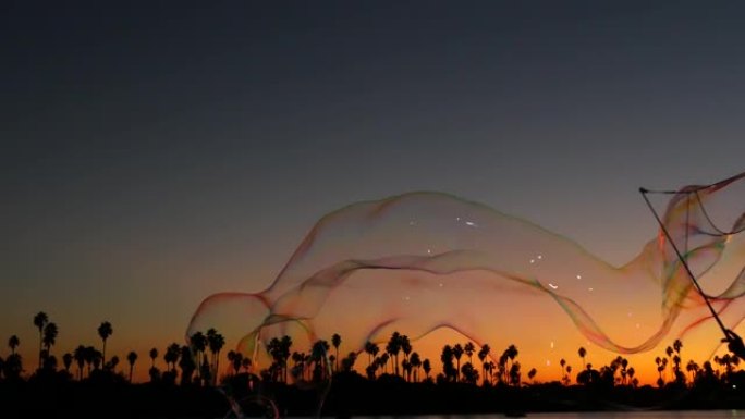 棕榈树剪影，日落海洋海滩，肥皂泡，美国加利福尼亚海岸。