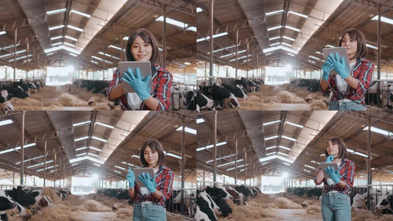 在马stable或农场谷仓中站在母牛上时，使用数字平板电脑拍摄女性农民的照片。