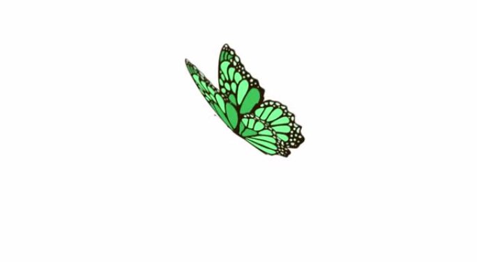 逼真美丽蝴蝶的动画。白色背景上绿色蝴蝶的飞行，带有单独的alpha通道。蝴蝶飞翔并拍打翅膀。可以用于