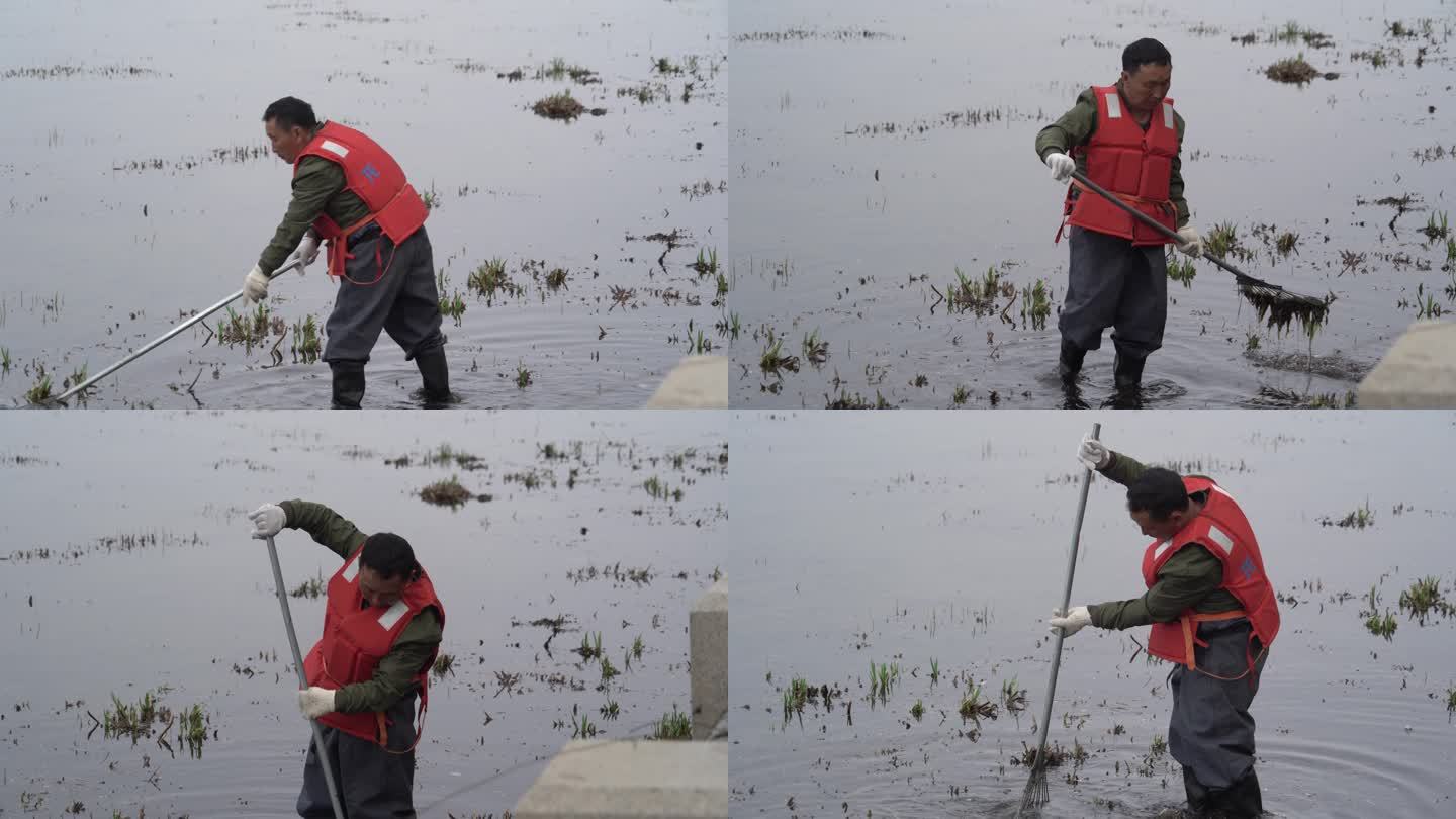 公园河中工人作业清理河中的水草4K实拍