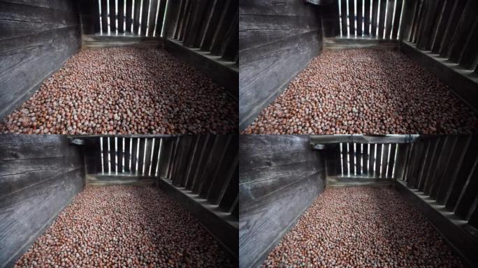 用滑块多莉在地窖里的贝壳榛子的4k镜头。