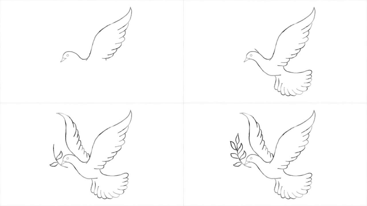 用橄榄叶画的鸽子，象征和平。