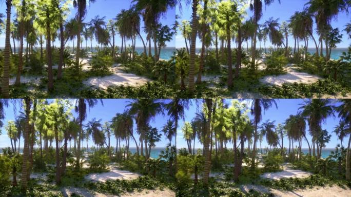 热带田园诗般的天堂岛的棕榈滩