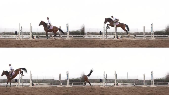 慢动作表演跳跃-侧视马，骑手跳过跨栏