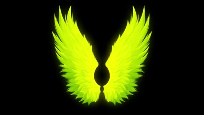 动画黄色翅膀孤立在黑色背景上。