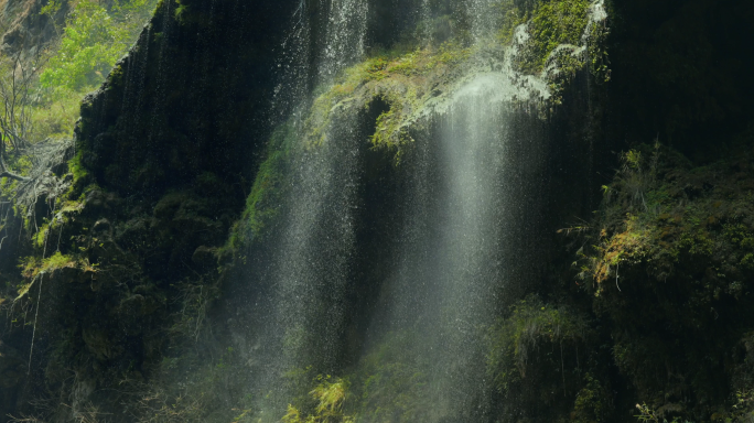 4K静谧森林的雨水 瀑布