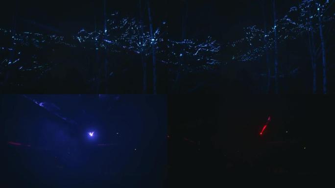 森林中的夜间激光表演。