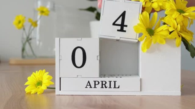 春季月份4月4日。女人的手翻过一个立方历法。黄色花朵旁边的桌子上的白色万年历。在一个月内更改日期。一