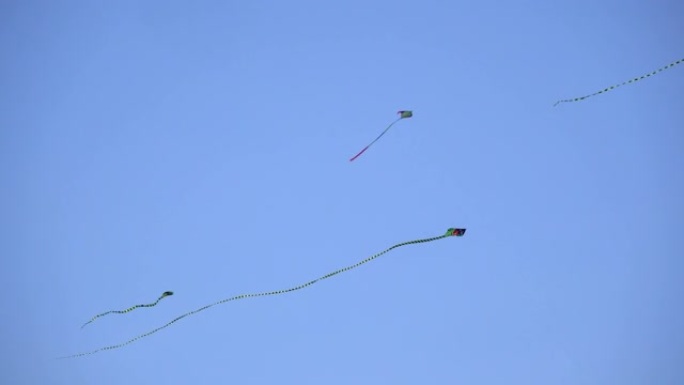 不同的风筝在天空中飞翔