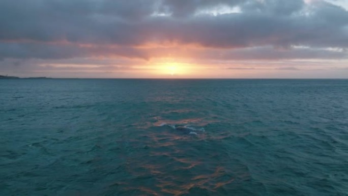 向前飞过海面上的鲸鱼。对抗夕阳的浪漫晚间镜头