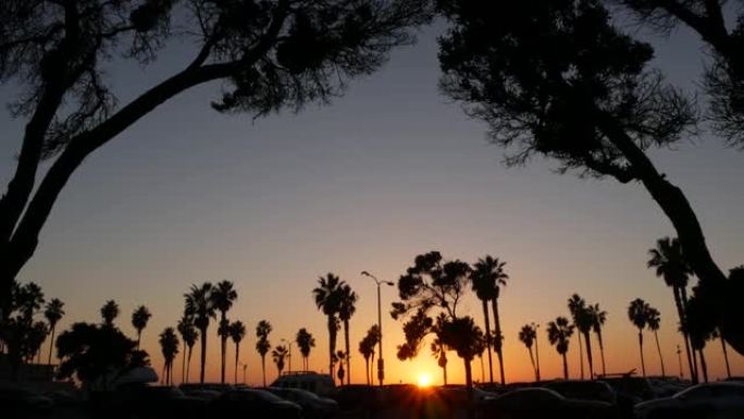 橙色的天空，日落时海滩上棕榈树的剪影，美国加利福尼亚海岸。