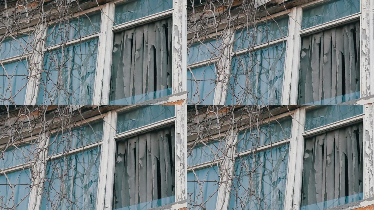 旧废弃窗户的外部，干燥的树枝和破烂的窗帘