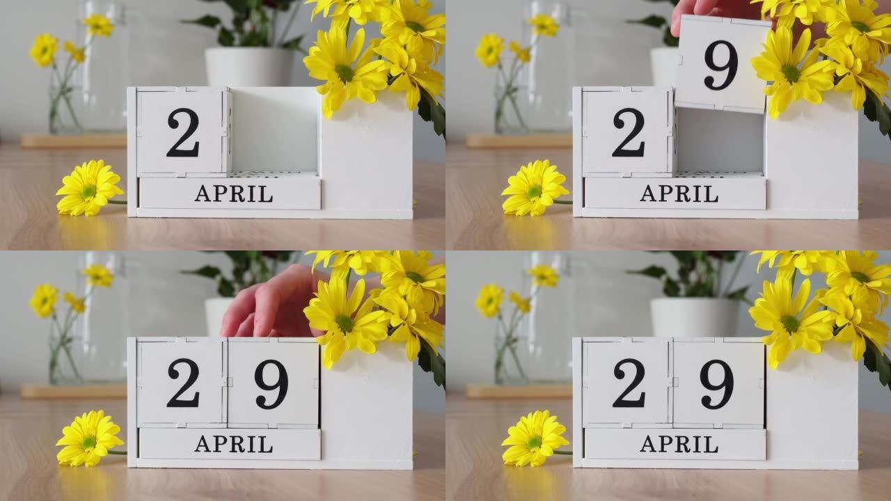 春季月份4月29日。女人的手翻过一个立方历法。黄色花朵旁边的桌子上的白色万年历。在一个月内更改日期。