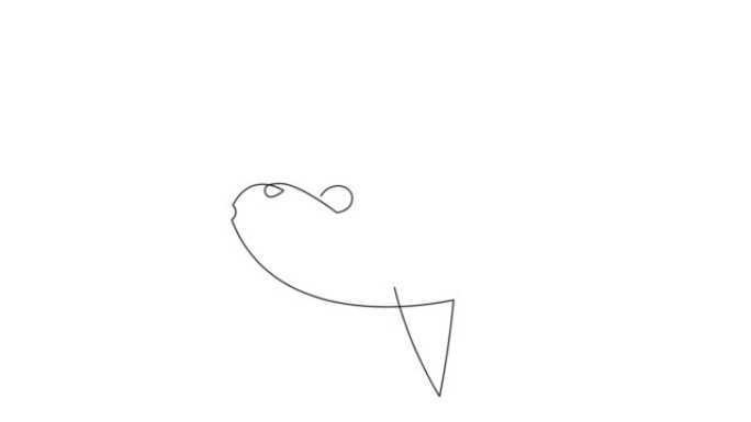 自绘太阳鱼单连续单线绘制的简单动画。莫拉莫拉手工绘制，白底黑线。