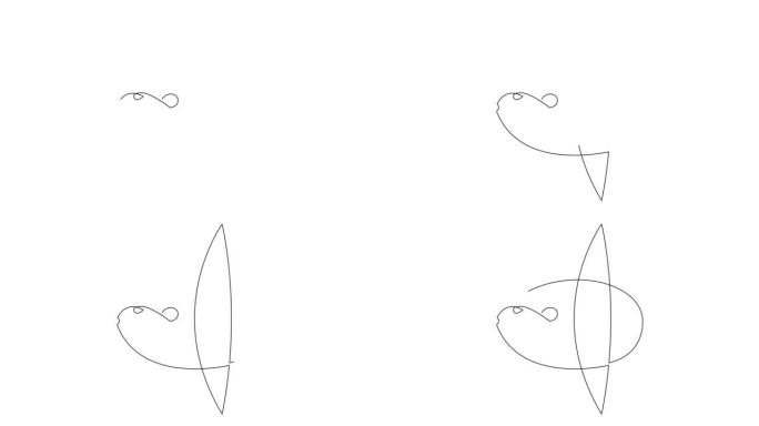 自绘太阳鱼单连续单线绘制的简单动画。莫拉莫拉手工绘制，白底黑线。