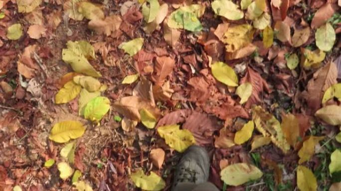 男人的腿在森林里的秋叶上行走