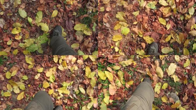 男人的腿在森林里的秋叶上行走