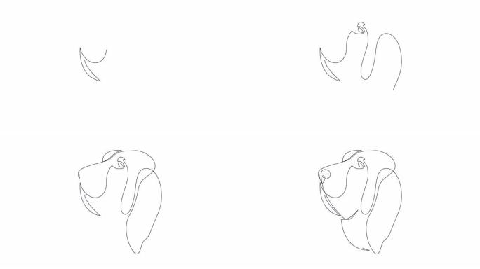 自画单连续单线画猎犬的简单动画。狗头手工绘制，白底黑线。野生动物、宠物、兽医的概念